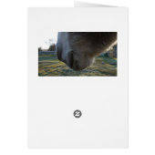 Fuzzy Donkey nose Blank card (Back)