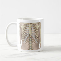 Fuzzy Express® Female Skeleton Anatomy