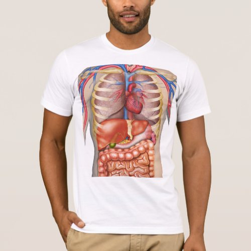 Fuzzy Express Internal Organs Anatomy T_Shirt