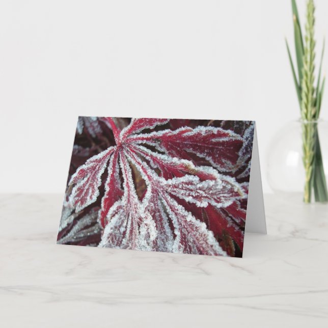 Fuzzy frosty leaf card (Front)