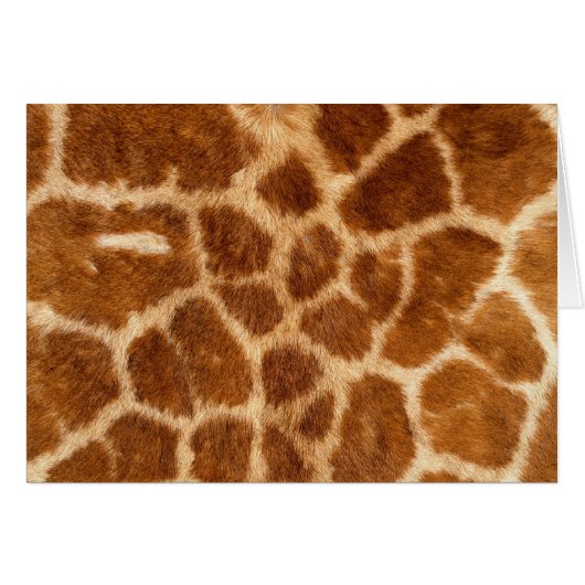Fuzzy Giraffe Fur Pattern Cards (Front Horizontal)