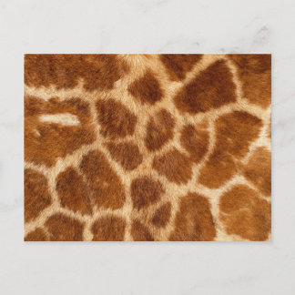 Fuzzy Giraffe Fur Pattern Postcard