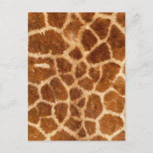 Fuzzy Giraffe Fur Pattern Postcard