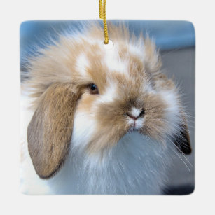 Fuzzy Holland Mini Dwarf Lop Bunny Rabbit Ceramic Ornament