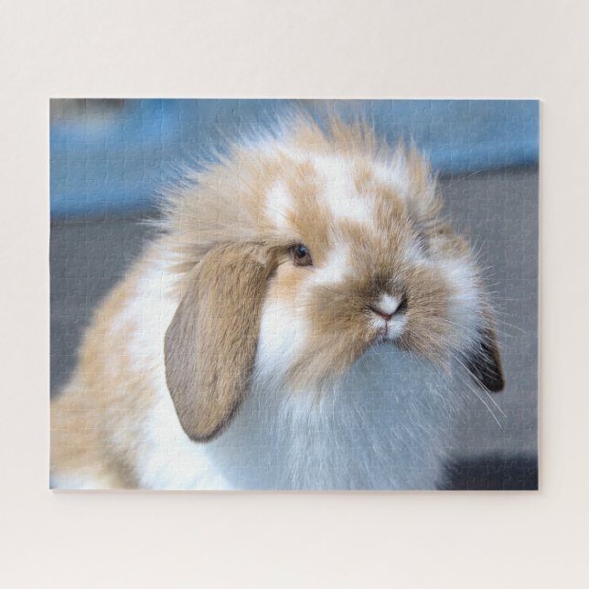 Fuzzy Holland Mini Dwarf Lop Bunny Rabbit Jigsaw Puzzle (Horizontal)
