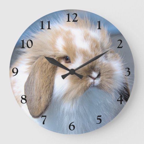 Fuzzy Holland Mini Dwarf Lop Bunny Rabbit Large Clock