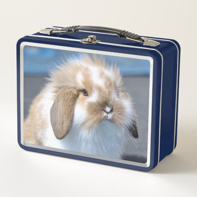 Fuzzy Holland Mini Dwarf Lop Bunny Rabbit Metal Lunch Box (Front)