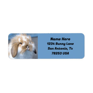 Fuzzy Holland Mini Dwarf Lop Bunny Return Address Label