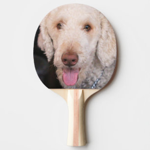 Fuzzy ping pong paddle