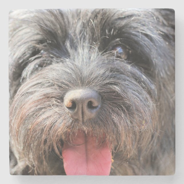 Fuzzy Stone Coaster (Front)