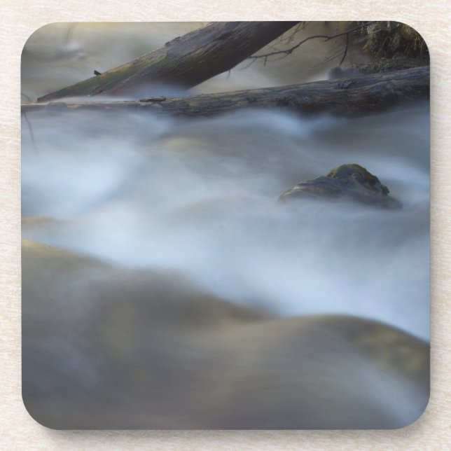 Fuzzy Water 6 Cork Drink Coaster (Front)