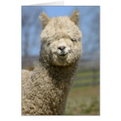 Fuzzy White Alpaca Face (Front)