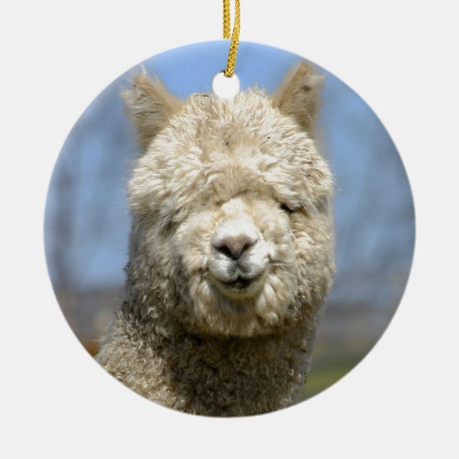 Fuzzy White Alpaca Face Ceramic Ornament (Front)