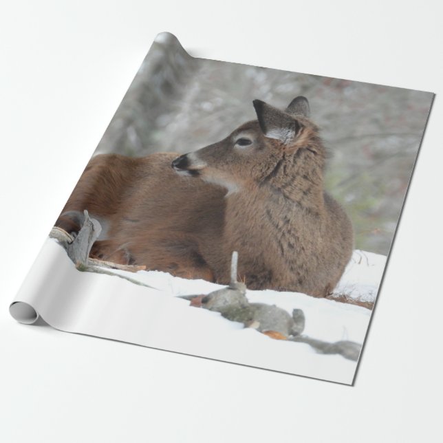Fuzzy White Tailed Deer Fawn Wrapping Paper (Unrolled)