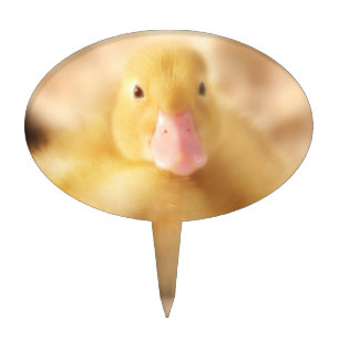 Fuzzy Yellow Duck Easter Baby Duckling Cake Topper
