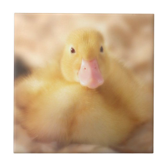 Fuzzy Yellow Duck Easter Baby Duckling Ceramic Tile (Front)