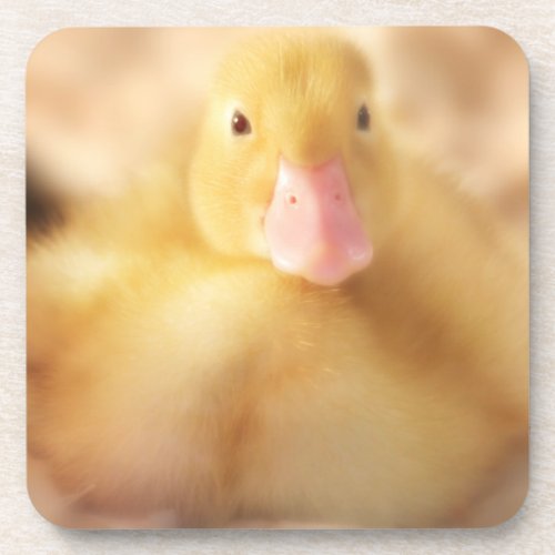 Fuzzy Yellow Duck Easter Baby Duckling Coaster