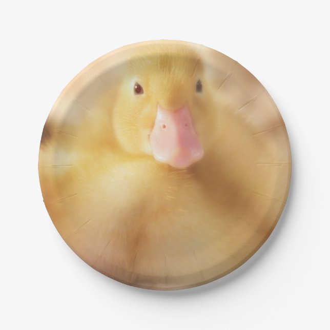 Fuzzy Yellow Duck Easter Baby Duckling Paper Plates (Front)