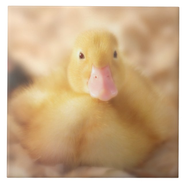 Fuzzy Yellow Duck Easter Baby Duckling Tile (Front)