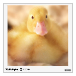 Fuzzy Yellow Duck Easter Baby Duckling Wall Decal