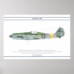 Fw-190 D-9 JG2 1 Poster