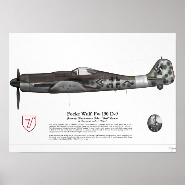 Fw 190 D-9 (Oskar Romm) Poster (Front)