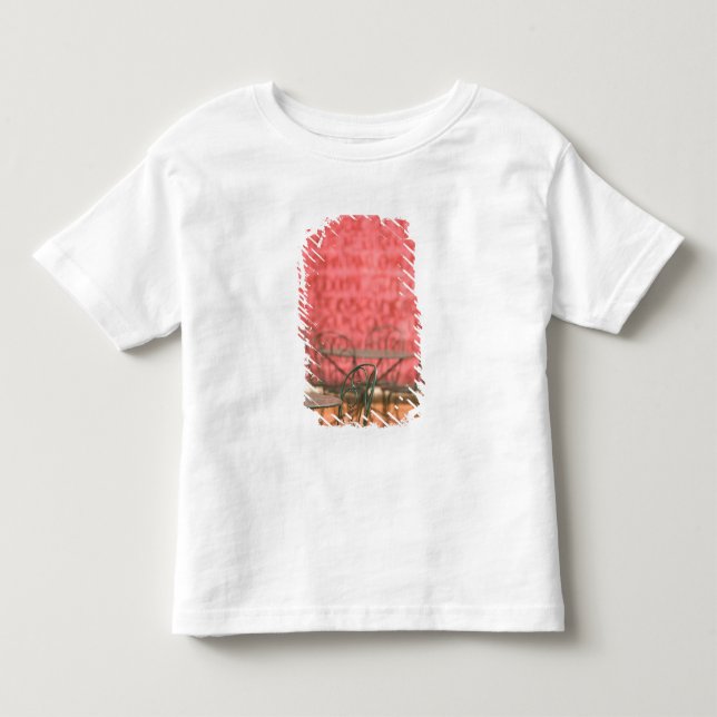 FWI, Guadaloupe, Grande Terre, Pointe a Pitre: Toddler T-shirt (Front)