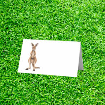 G Day adorable kangaroo