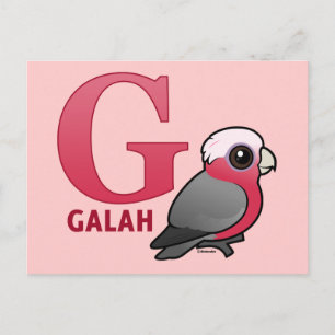 G is for Galah Postcard