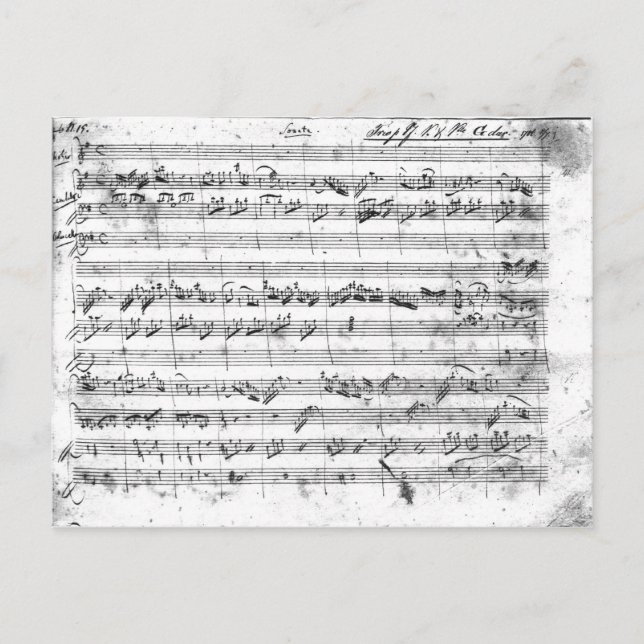 G major for violin, harpsichord and violoncello 2 postcard (Front)