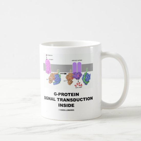G-Protein Signal Transduction Inside Coffee Mug