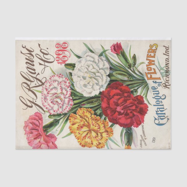 G.R. Gause 1898 Carnations Seed Catalog       Tissue Paper (Front)