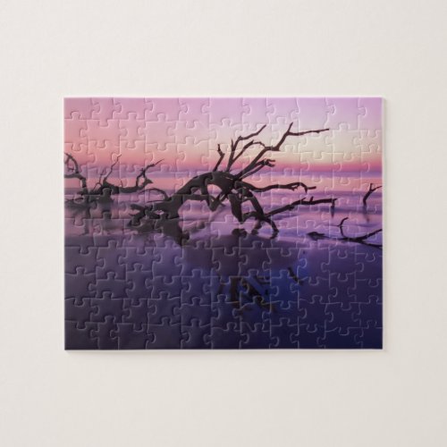 GA Jekyll Island Tree graveyard on  beach at Jigsaw Puzzle