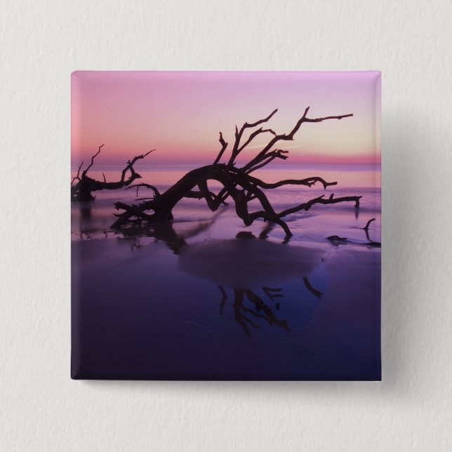 GA Jekyll Island, Tree graveyard on  beach at Pinback Button (Front)
