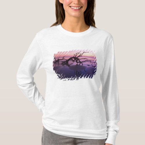 GA Jekyll Island Tree graveyard on  beach at T_Shirt