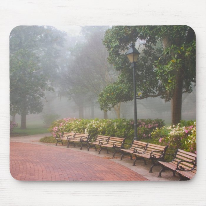 GA Savannah, Azaleas along brick sidewalk and Mouse Pads