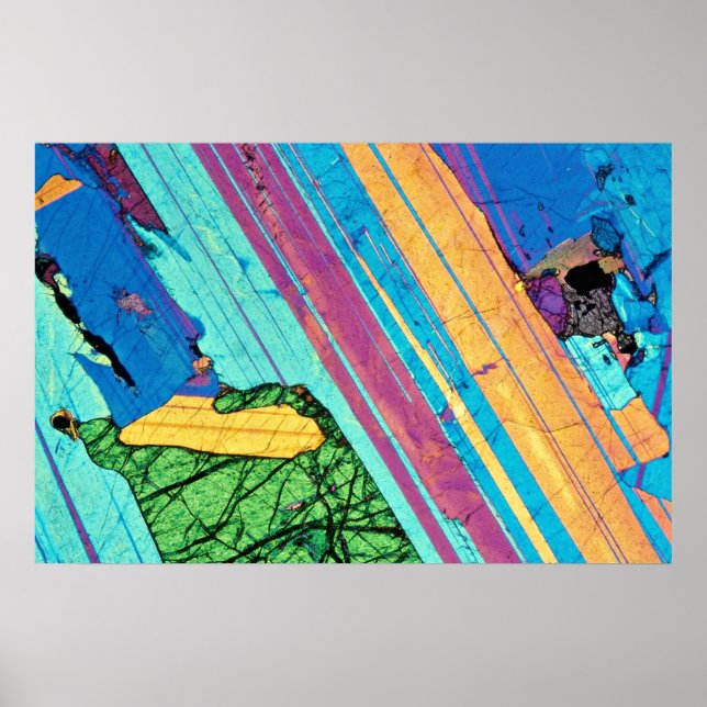 Gabbro Poster (Front)