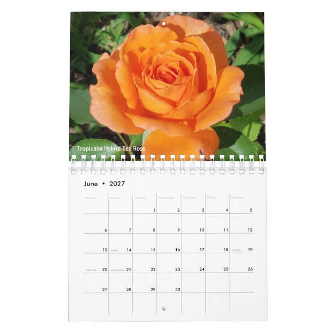 Gabby the Gardener 2021 Calendar (Jun 2027)