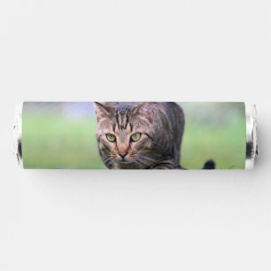 Gabe breath savers® mints