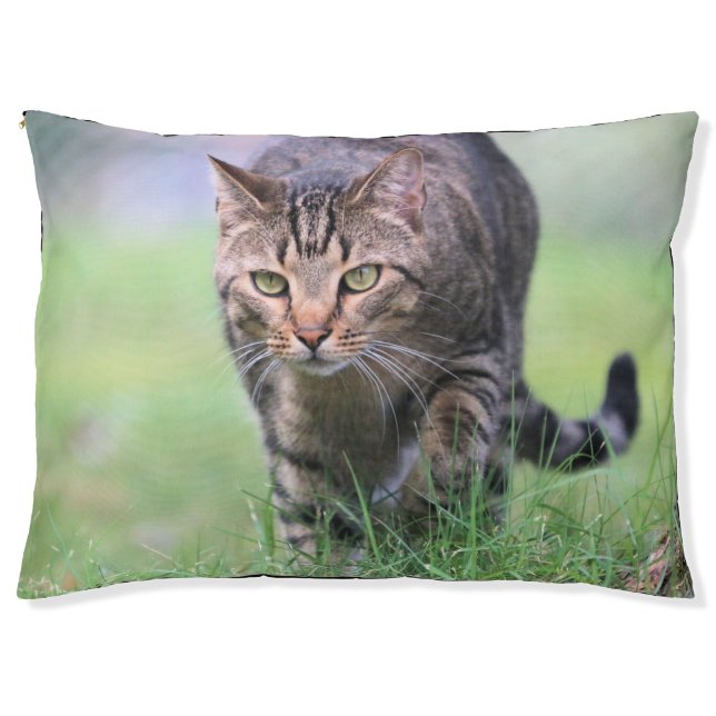 Gabe Pet Bed (Front)