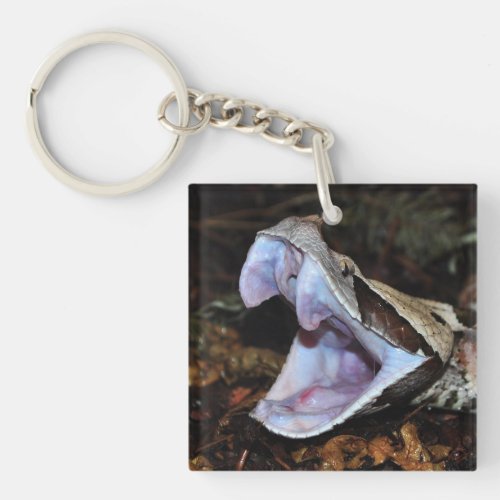 Gabon viper keychain