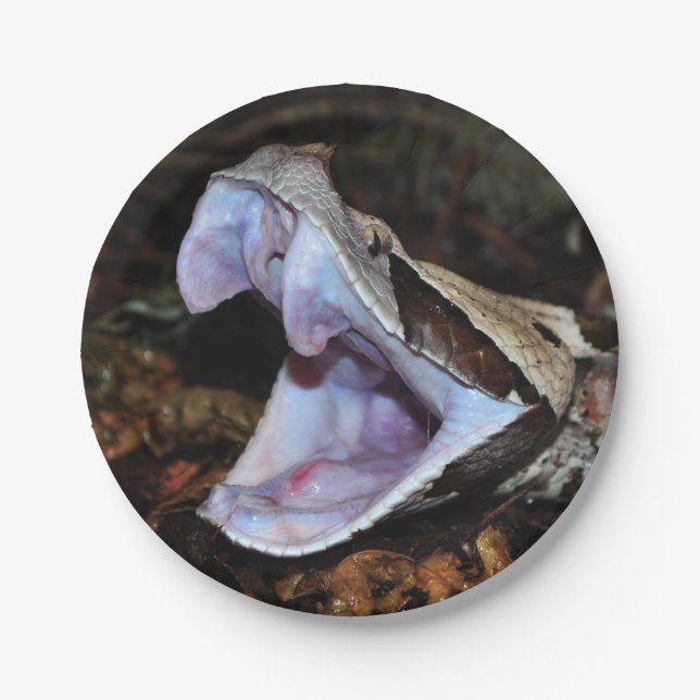 Gabon viper paper plates (Front)