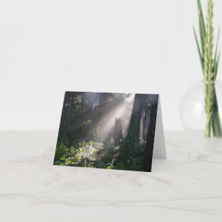 Gabriola forest sunshine card