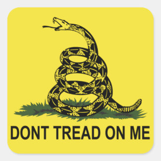 Gadsden Flag Square Sticker