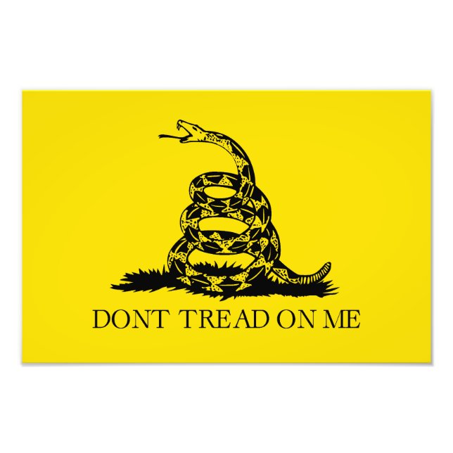 Gadsden Rattlesnake Flag: Revolutionary War 1776 Photo Print (Front)
