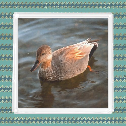 Gadwall Duck Drake on the Lake Acrylic Tray