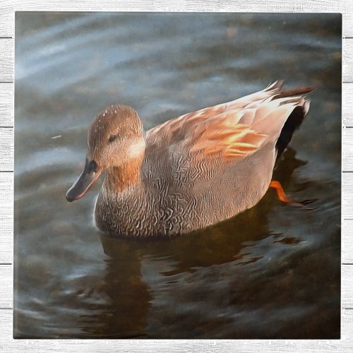 Gadwall Duck Drake on the Lake Ceramic Tile