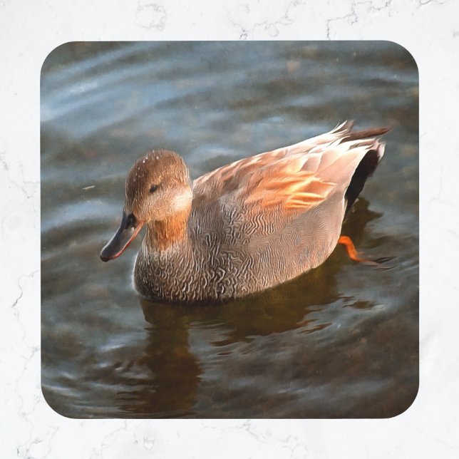 Gadwall Duck Drake on the Lake Glass Coaster (Creator Uploaded)