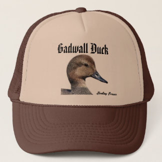Gadwall Duck hat