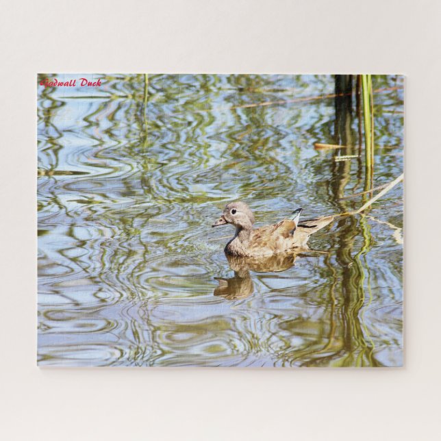 Gadwall Duck Jigsaw Puzzle (Horizontal)